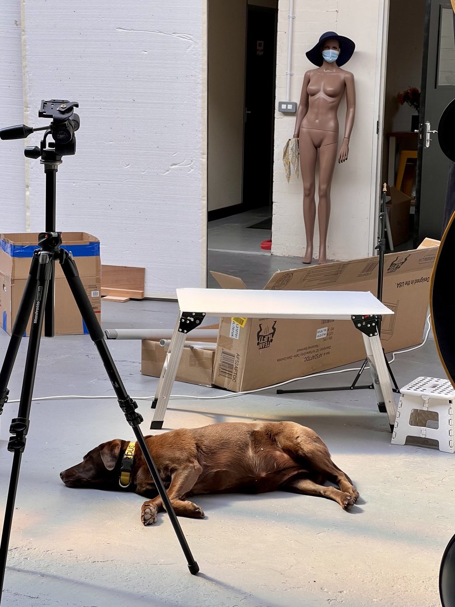 Cactus Images tweet media