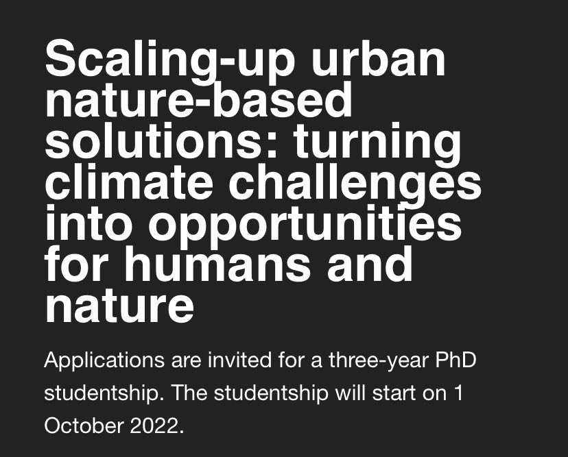 Paul Holloway tweet media