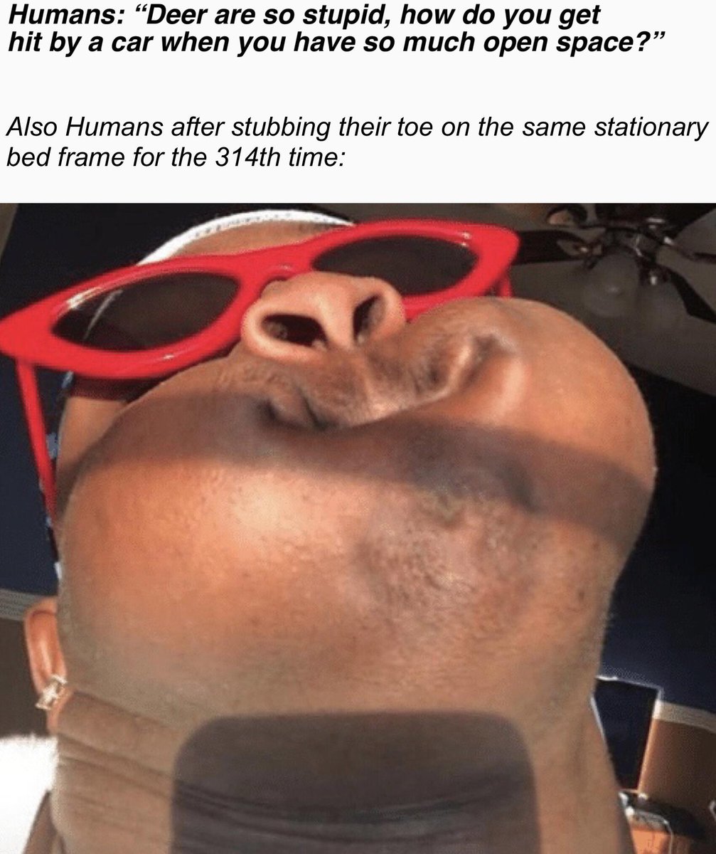 I swear it keeps moving just to get us to hit it with our toe!

#memes #lol #humans