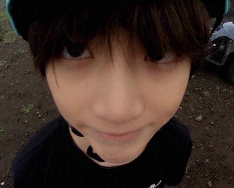 ً. (@politebears) on Twitter photo 