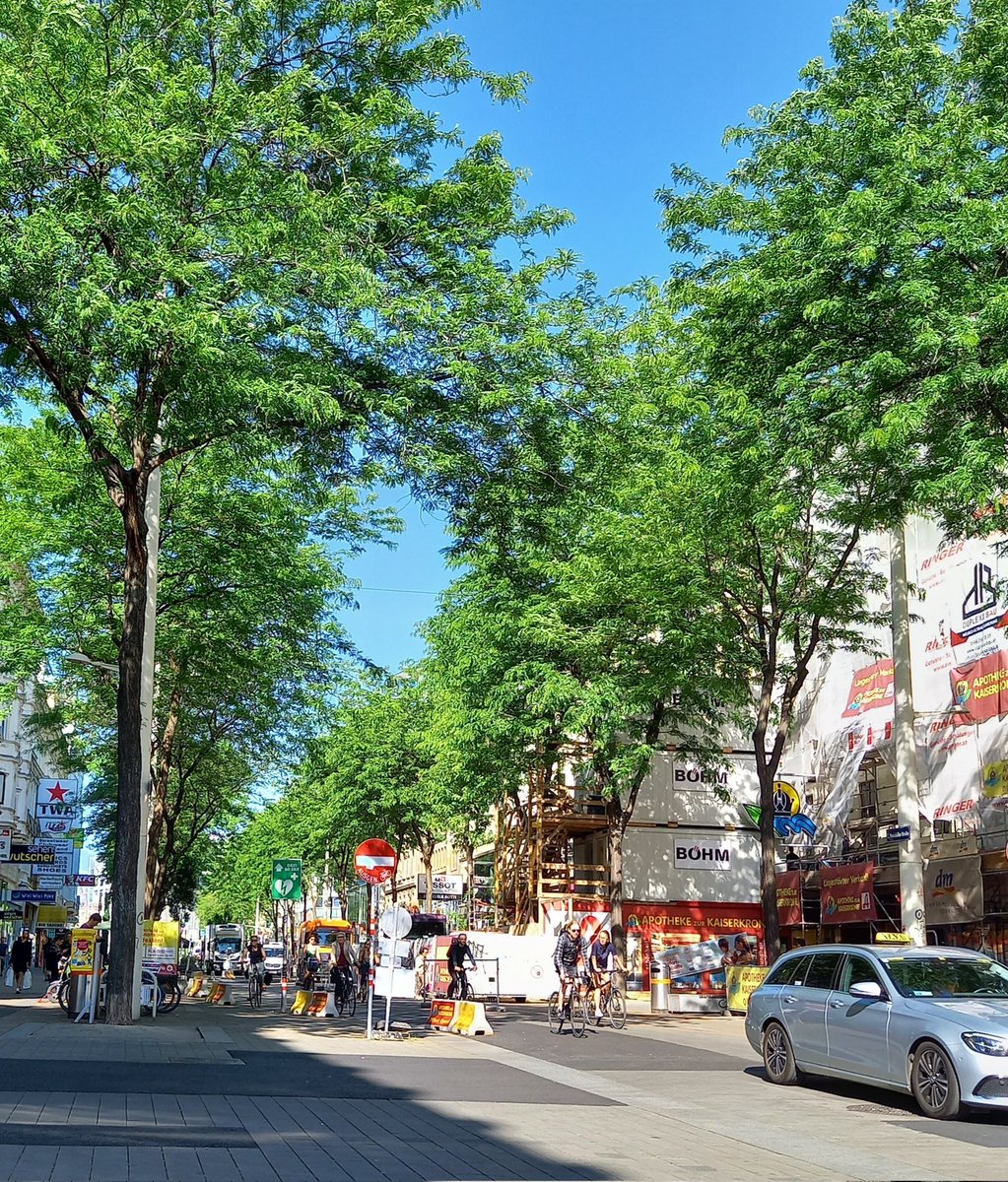 BarbaraRuhsmann's tweet image. Freitagmorgen, Ecke Zieglergasse #Mahü, fünf vor 9 auf Termin warten und fast schon meditativ versinken in das regelrecht harmonisch wirkende Mobilitätsgeschehen - wie sich Zu-Fuß-Gehende, Radfahrende und Autofahrer:innen hier den Raum teilen, ist schon immer wieder faszinierend.