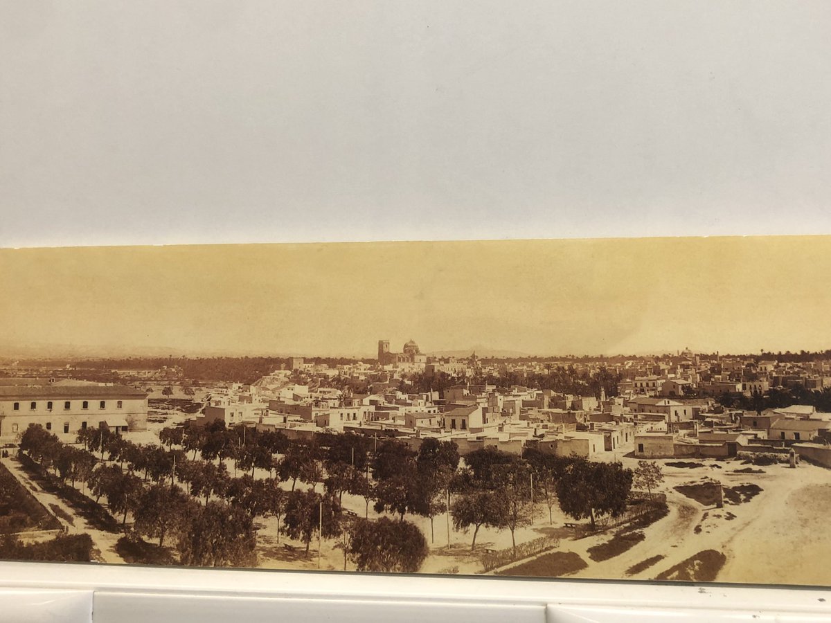 Bio_PierreParis's tweet photo. Així era #Elx quan vaig estar fent la meua visita. #GentdElx @Manuel_Campello @Biopedroibarra @lachicharraelx @LaAlcudia @CarlosGlez2021 https://t.co/tQsj4RYlp4