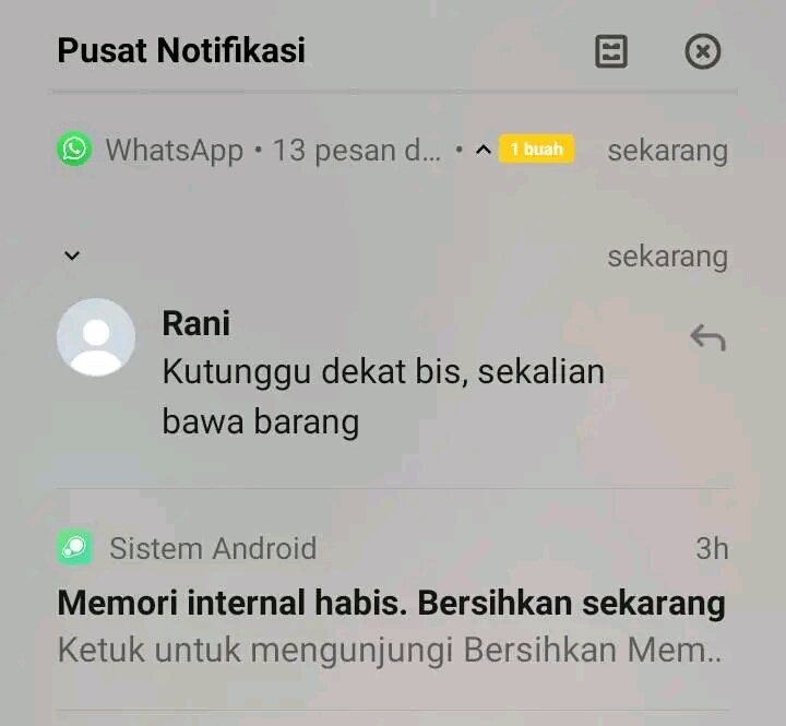 Okto tweet media