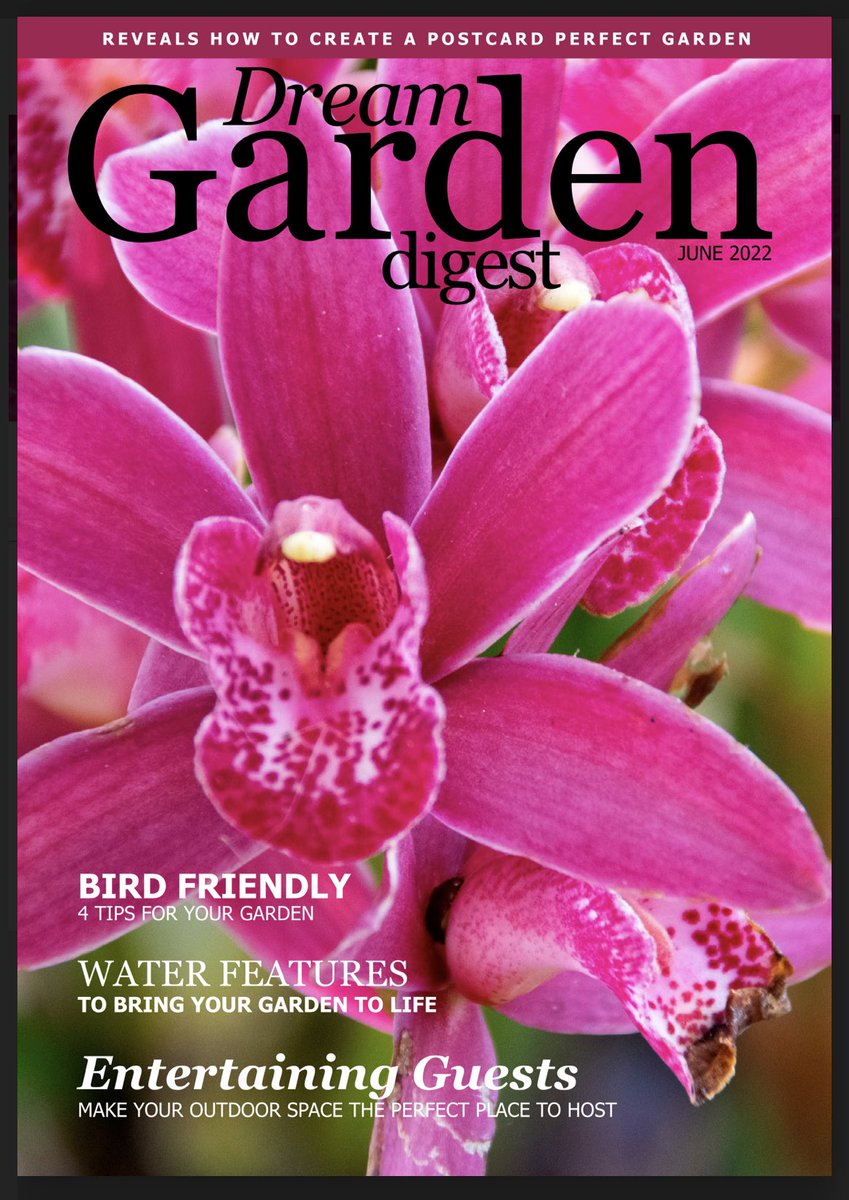 Scott Taylor tweet media