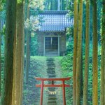 まるでジブリの世界・・日本に実在する神秘的な鳥居
