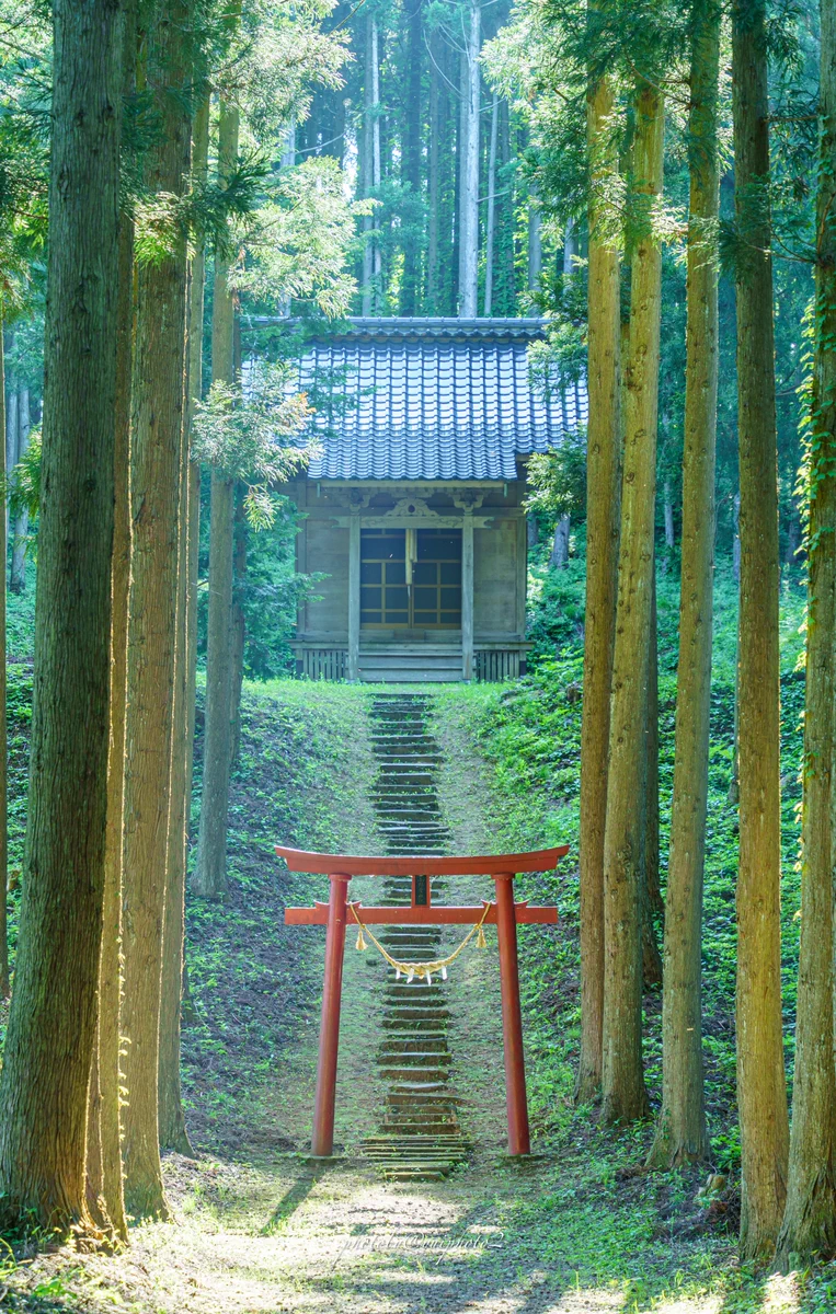 まるでジブリの世界・・日本に実在する神秘的な鳥居