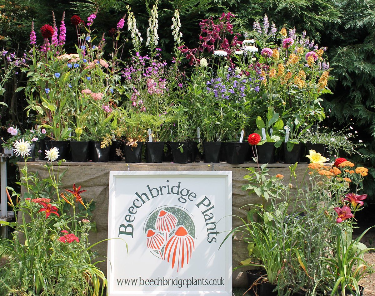Pilgrims Hospices tweet media