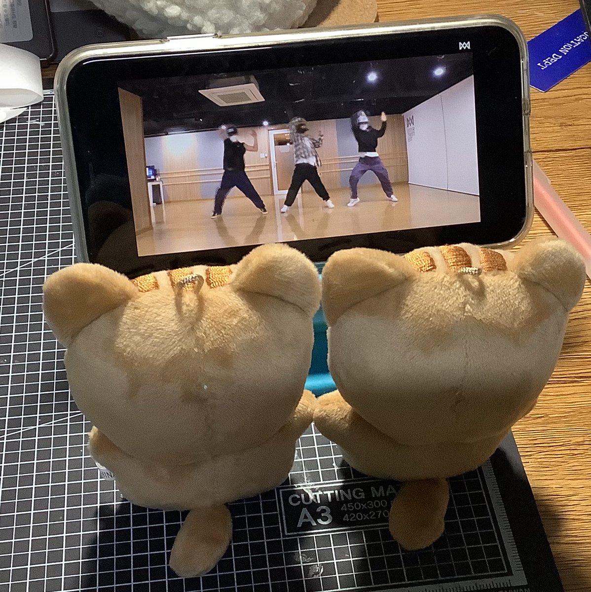 대장머싯다 ♡