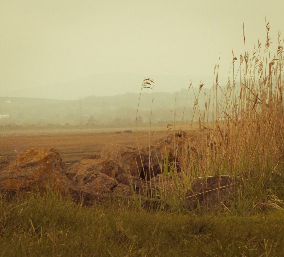 Corrawen Photography tweet media