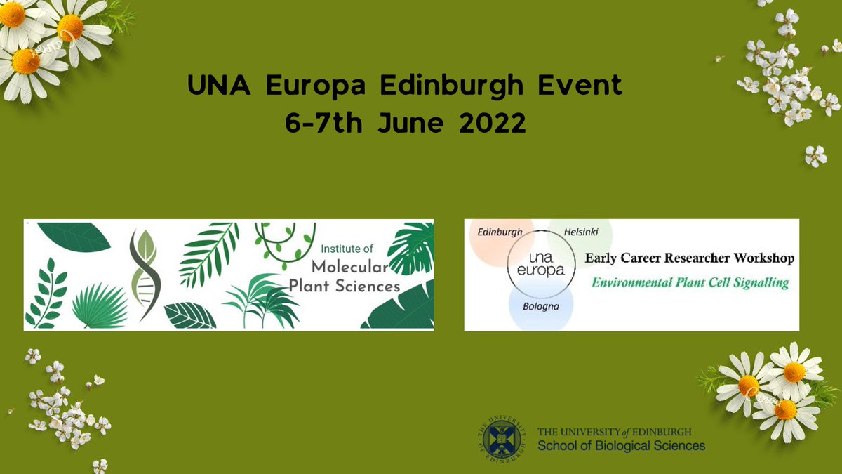 InstMolPlantSci's tweet photo. We are really excited to be hosting this event next week and looking forward to all the talks we have planned! Watch the space for more updates @Una_Europa @SBSatEd @GrowingYourIdea @aine_dr #seedfunding #HorizonEurope @mwrzaczek @paotrost @SpoelLab @helsinkiuni @SRUC #plants https://t.co/C4oqTLUuLk