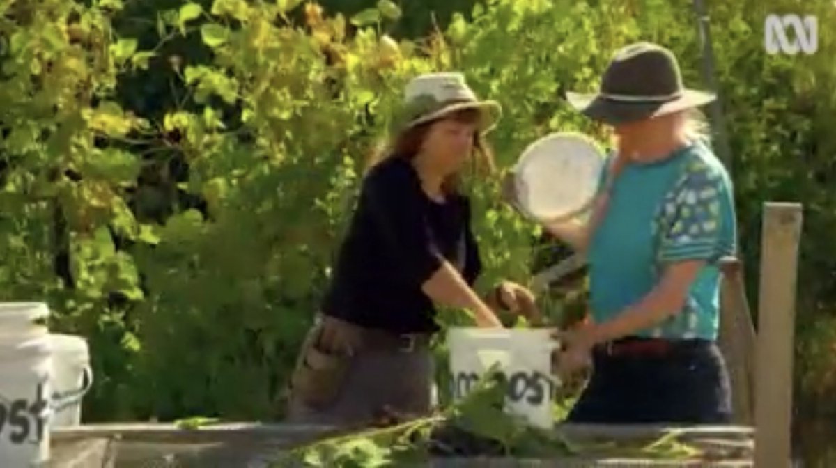 CostasGarden's tweet photo. Mathew Evans and partner in farm and food Sadie are very clear on the importance  of soil.Fat Pig Farm is a work in soil building  progress. Every microbe matters and their approach is growing momentum beneath the soil. Chexk it out this wk #gardeningaustralia @ABCTV #fatpigfarm https://t.co/xRbpJ4Uw7y