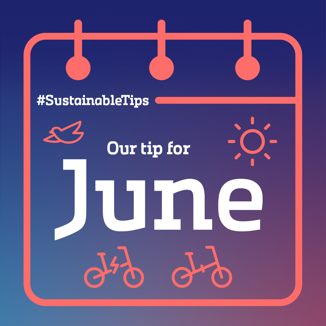 Alphabet International tweet media