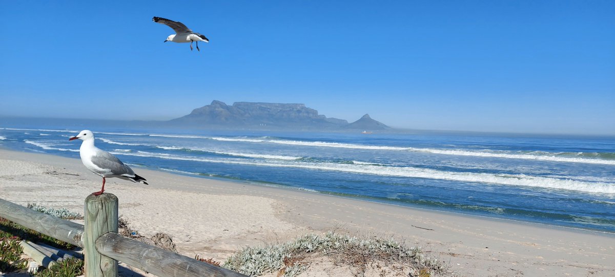 TravelLAT's tweet image. Cape Town showing of for all the overseas and local visitors!  #mothercity #southafrica #tourism #travel #tablebay #tablemountain