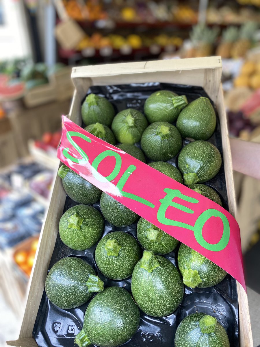 Round courgettes ‘Tondo di Nizza'  stuff them with veg, bake them, slice them sprinkle with Parmesan, grill them, bbq them. Enjoy them 😋#tonysfinchley #tonysn2 #eastfinchley #roundcourgette #courgette #roundcourgettes #bbqcourgette #stuffedcourgette