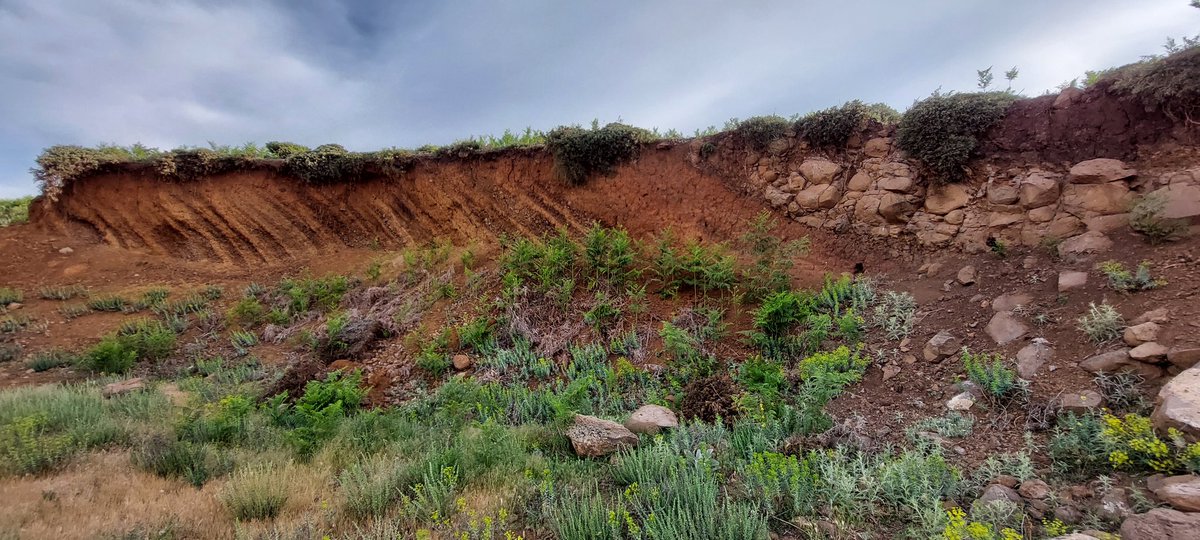 Sequence of scoria and then a late lava flow along the flanks of a volcano in the Middle Atlas mountains of Morocco.