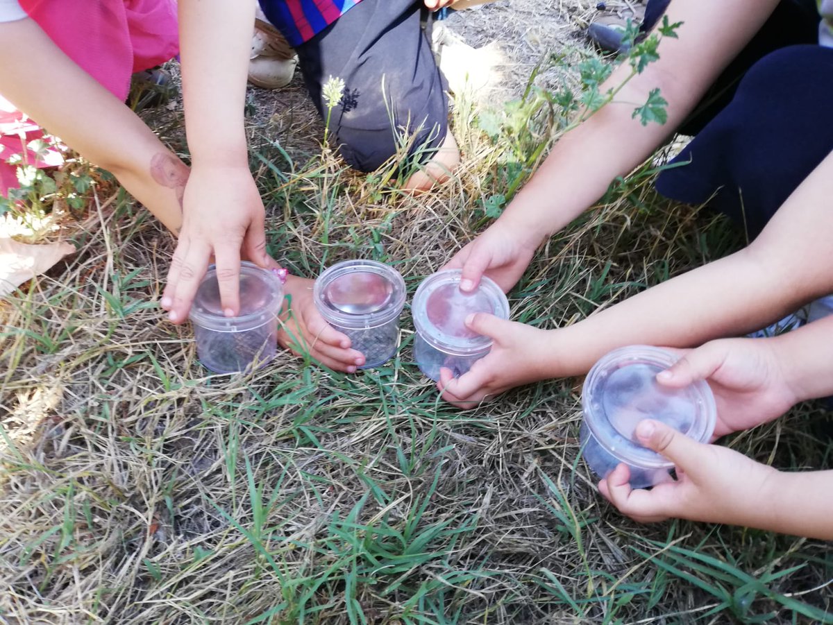 MdlMediterrania's tweet photo. Aquesta setmana l'alumnat del cicle d'infantil @IEFrancescCambo han descobert les dimensions del paisatge amb l'activitat "Connectem amb l'entorn" des de l'espai de La Mota #educacio #MSTBaixTer #MuseuSuportTerritorial @MdlMediterrania https://t.co/qOwgErGwEn