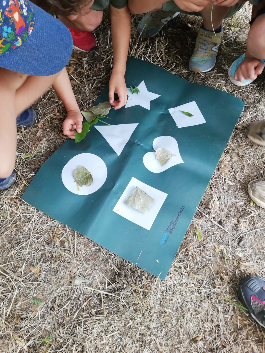 MdlMediterrania's tweet photo. Aquesta setmana l'alumnat del cicle d'infantil @IEFrancescCambo han descobert les dimensions del paisatge amb l'activitat "Connectem amb l'entorn" des de l'espai de La Mota #educacio #MSTBaixTer #MuseuSuportTerritorial @MdlMediterrania https://t.co/qOwgErGwEn