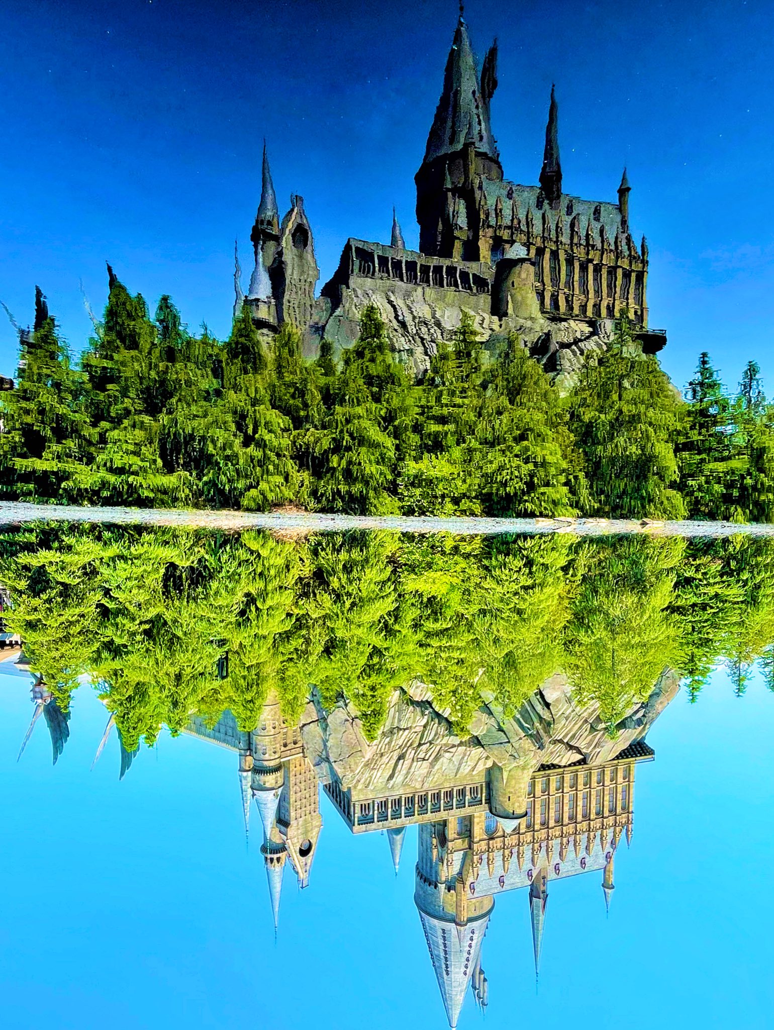 綿菓子 Cotton Candy927 Twitter