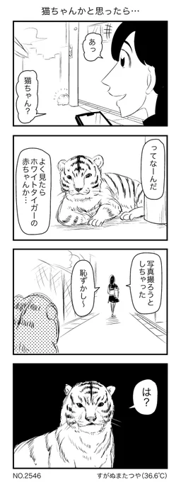 猫ちゃんかと思ったら… 