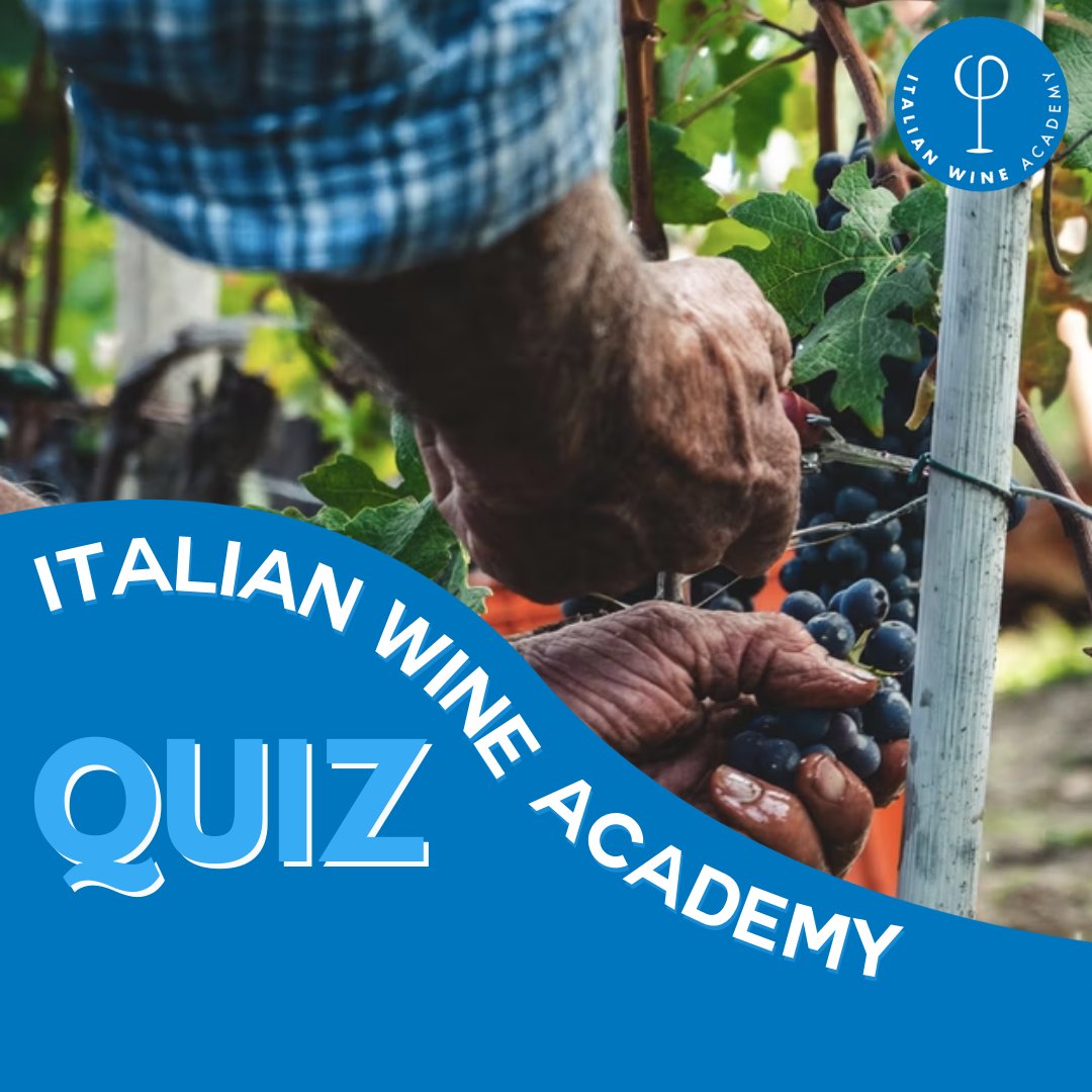 itawineacademy's tweet photo. Once again, this Friday we propose our #winequiz. Can you answer these questions inspired by #WSET courses? Comment this post with your guess! @steviekim222 @ItalianWineBook @itawinepodcast
#italianwineacademy #winequiz #wsetcourses #wsetitalia #wsetstudent #wsetverona https://t.co/TMeeoMTRDI