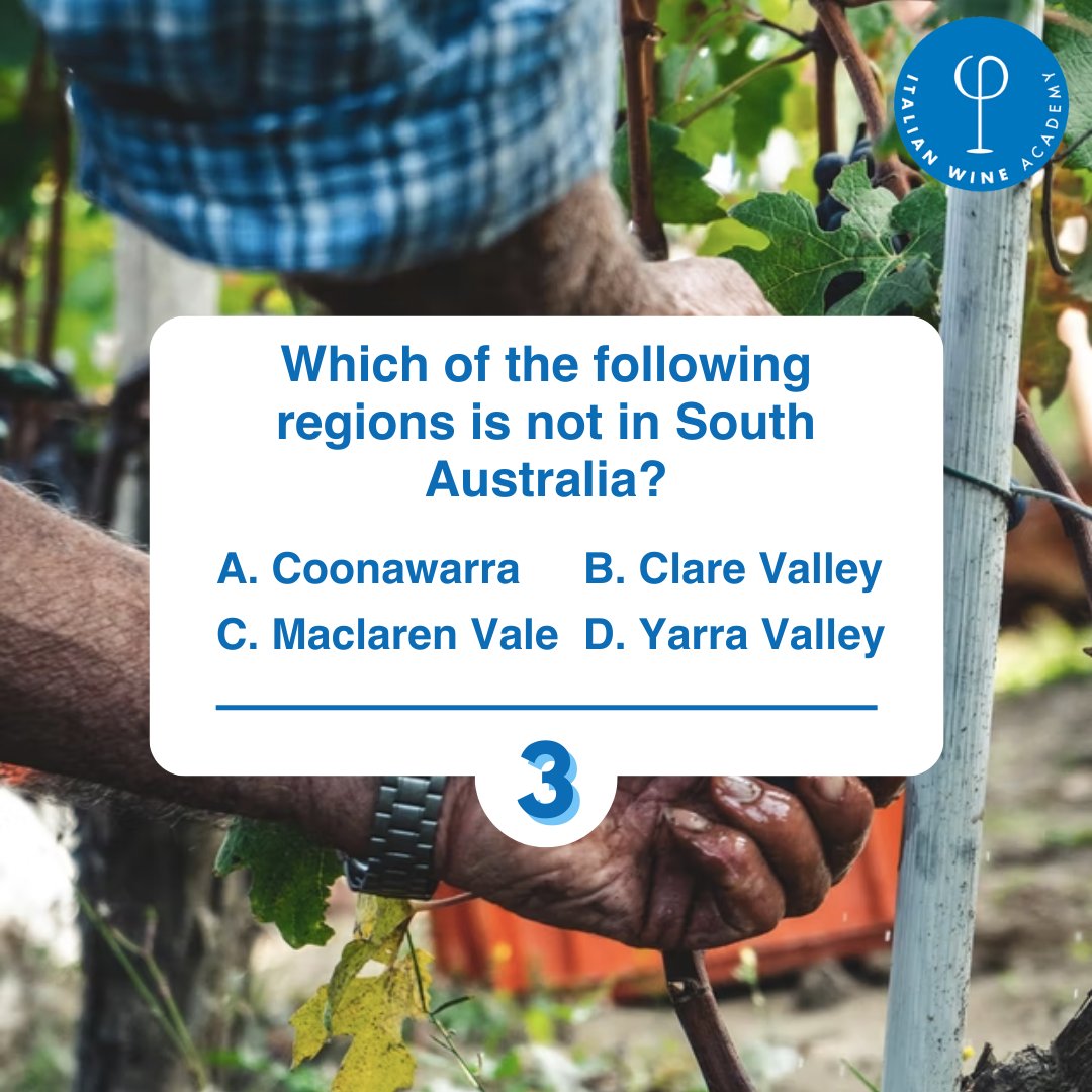 itawineacademy's tweet photo. Once again, this Friday we propose our #winequiz. Can you answer these questions inspired by #WSET courses? Comment this post with your guess! @steviekim222 @ItalianWineBook @itawinepodcast
#italianwineacademy #winequiz #wsetcourses #wsetitalia #wsetstudent #wsetverona https://t.co/TMeeoMTRDI