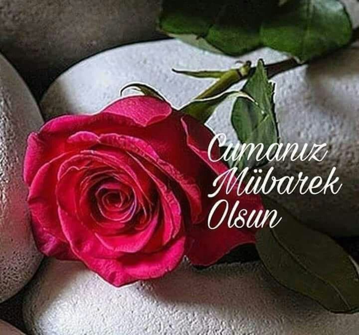 halil_uncuer's tweet photo. @Bedellikislasiz Bby 3 KB       jj8 yu https://t.co/msymyEQ48v