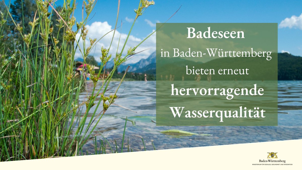 MSI_BW's tweet photo. 313 hygienisch überwachte Badestellen gibt es im Land, nahezu alle mit einer überdurchschnittlich guten Wasserqualität. Wie es in Ihrer Region aussieht, zeigt unsere digitale #Badegewässerkarte 2022. ➡ https://t.co/9g0gtc3phe
Details ➡ https://t.co/hCZCmeYBkw
#Baden #Badesee https://t.co/ZG6b5GEupD
