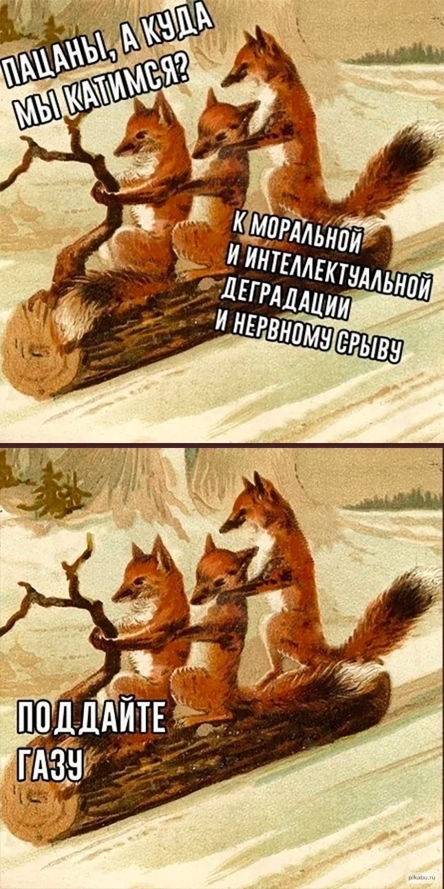 Куда мы катимся картинки