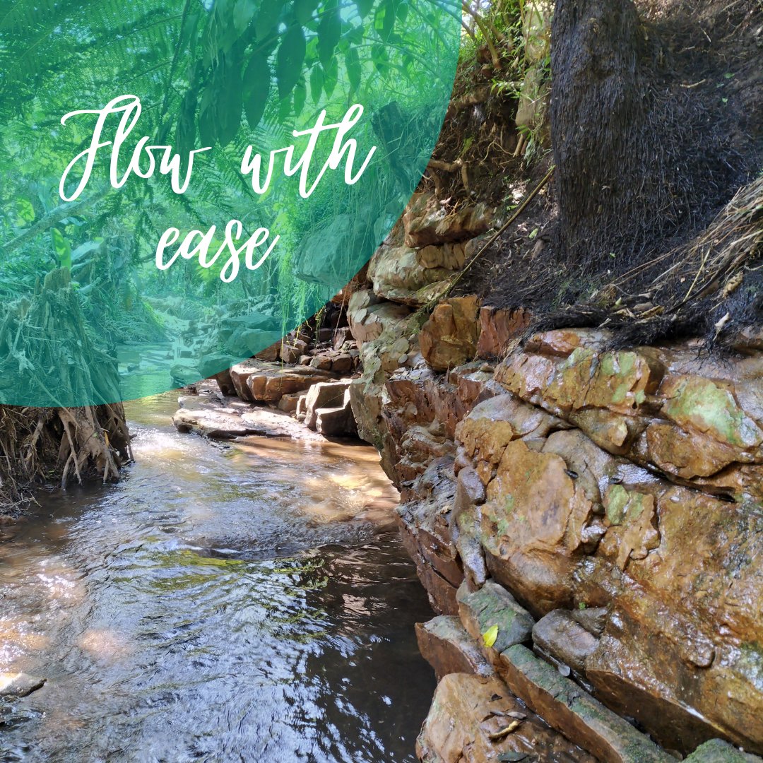 ChandramalaSA's tweet photo. Only 10 places available, KZN Retreat end June https://t.co/x9SOIDQsds