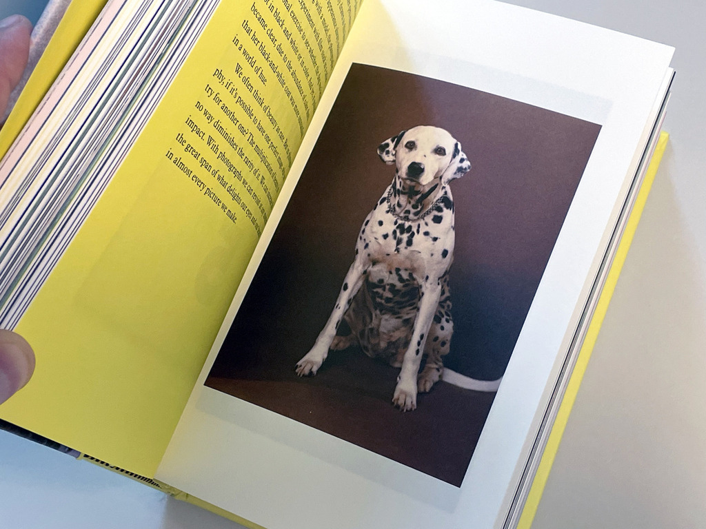 LS_Magazine's tweet photo. LS NEW BOOK 

Erik Kessels - The Many Lives of Erik Kessels

https://t.co/pxwO3htN0c - LS NEW BOOK, Erik Kessels, The Many Lives of Erik Kessels https://t.co/OKdFLY8qFa