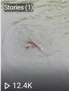 เรียกไม่หันแล้วนะ