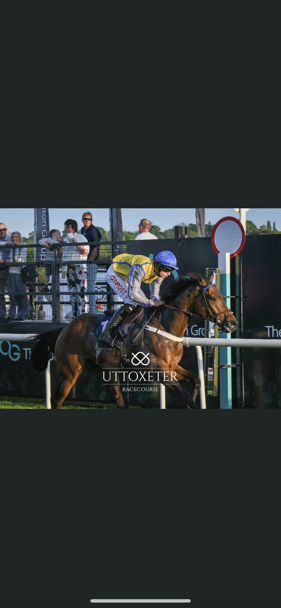 Donald McCain Racing tweet media
