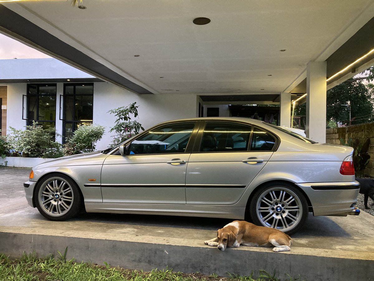 RobertMacasaet's tweet photo. Brutus guarding the car. Actually he’s tired of making a mess all morning. #teamkalat #e46 #style67 #bmw #beagle #guarddog https://t.co/hDWmi5K32i