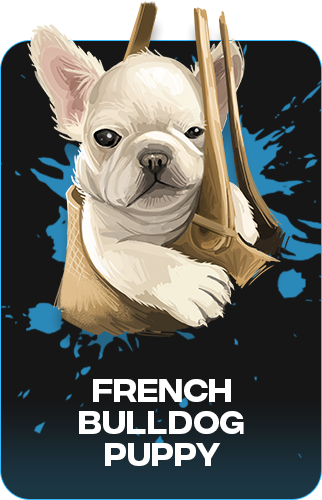 Hey #NFTcommunity? Hows going? R u ready for our #NFTAirdrop? #woof #WOOFWOOF
