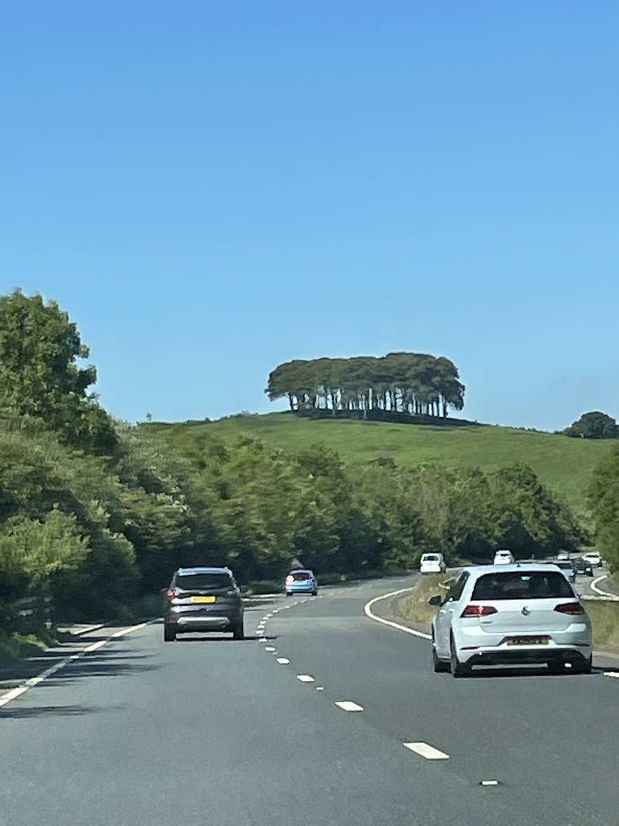 gingerfig's tweet photo. 😳 missed traditional #Broadwoodwidger photo op but caught the #nearlytheretrees 😃 https://t.co/6KEmdL6JzH