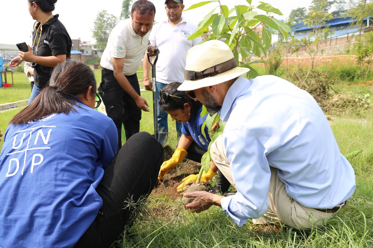 UNDPNepal's tweet photo. In the lead upto World Environment Day, UNDP together w/@WcnNepal &amp; @unicefrosa conducted a plantation prog in Tokha today as part of its effort to offset carbon emission.This year's theme is #OnlyOneEarth The team also observed saplings from earlier plantation at the same place. https://t.co/jLCmZOlCvR