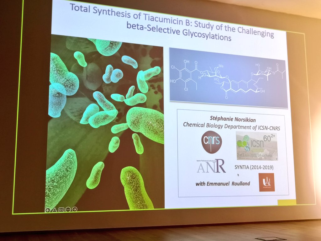 ICSN_lab's tweet photo. Total synthesis time now for the celebration of the 60th anniversary of @ICSN_lab with the presentation of Stephanie @norsikian on Tiacumicin B. #ICSN60 https://t.co/lBpli60wh1