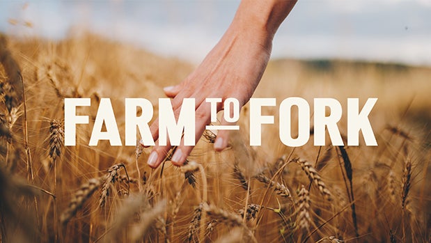So, apparently my song Like Paper Planes has been recently used on this Australian tv show called @farmtoforkau, and I'm pretty pumped about it.