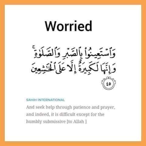 SamarSalah98's tweet photo. https://t.co/SfLIudcbBK