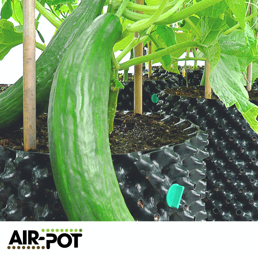 growin_de's tweet photo. Die seit über 25 Jahren entwickelten Air-Pot-Töpfe sind die einzigen Pflanzgefäße, die das Wachstum aktiv fördern.
Die robusten, aus recyceltem Kunststoff hergestellten Töpfe sind wiederverwendbar und halten viele Jahre. https://t.co/63HSiAWJ0V