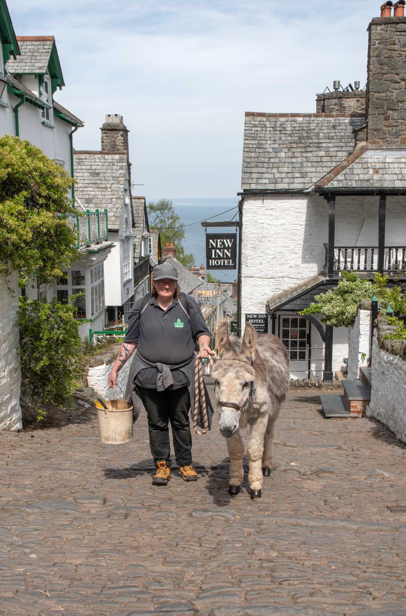 Donkeys on Clovelly's Cobbles🏘️ 
📸  by Alex Graeme