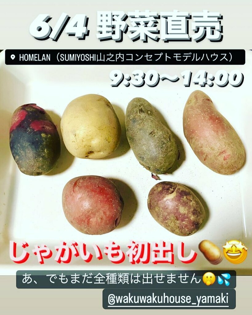 やさイ国 Yasaikoku Twitter やさイ国 Yasaikoku Twitter