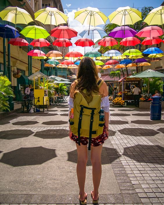 Mauritius Island tweet media