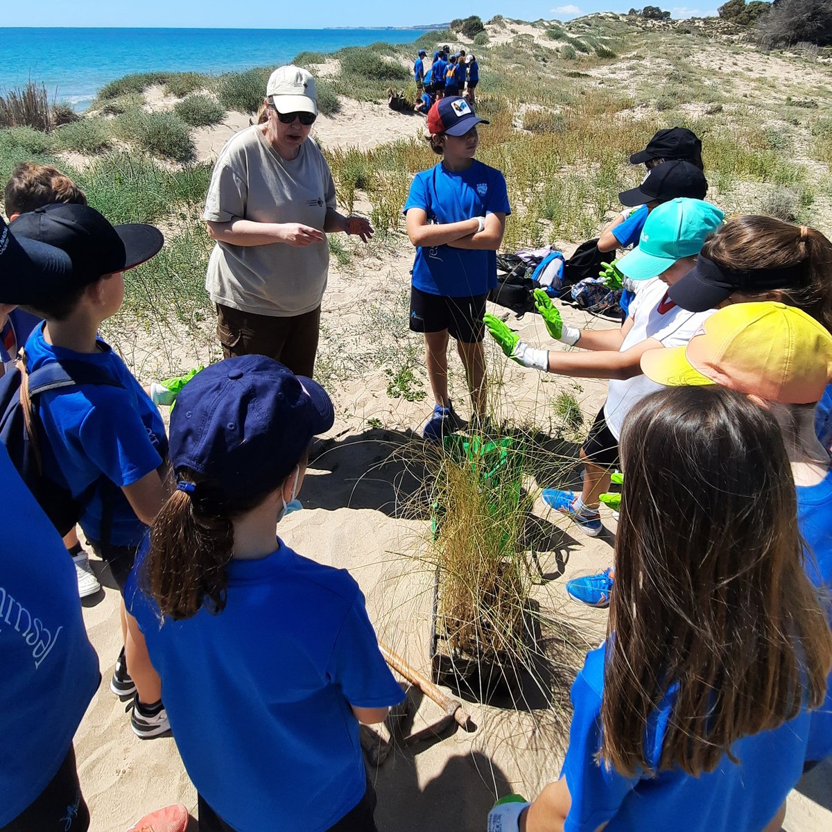 GVAparcs's tweet photo. 🪧Moltes gràcies per fer aquests cartells (i ajudar a posar-los) i tríptics per conscienciar sobre el corriol camanegre🐤 i la Paratriodonta alicantina🪲 al #PNSalinesSantaPola 
🌱I també plantàrem unes espècies dunars😀
👏👏👏Col·legi Inmaculada d'Alacant @JesuitaAlicante https://t.co/qGJRhnvz4D