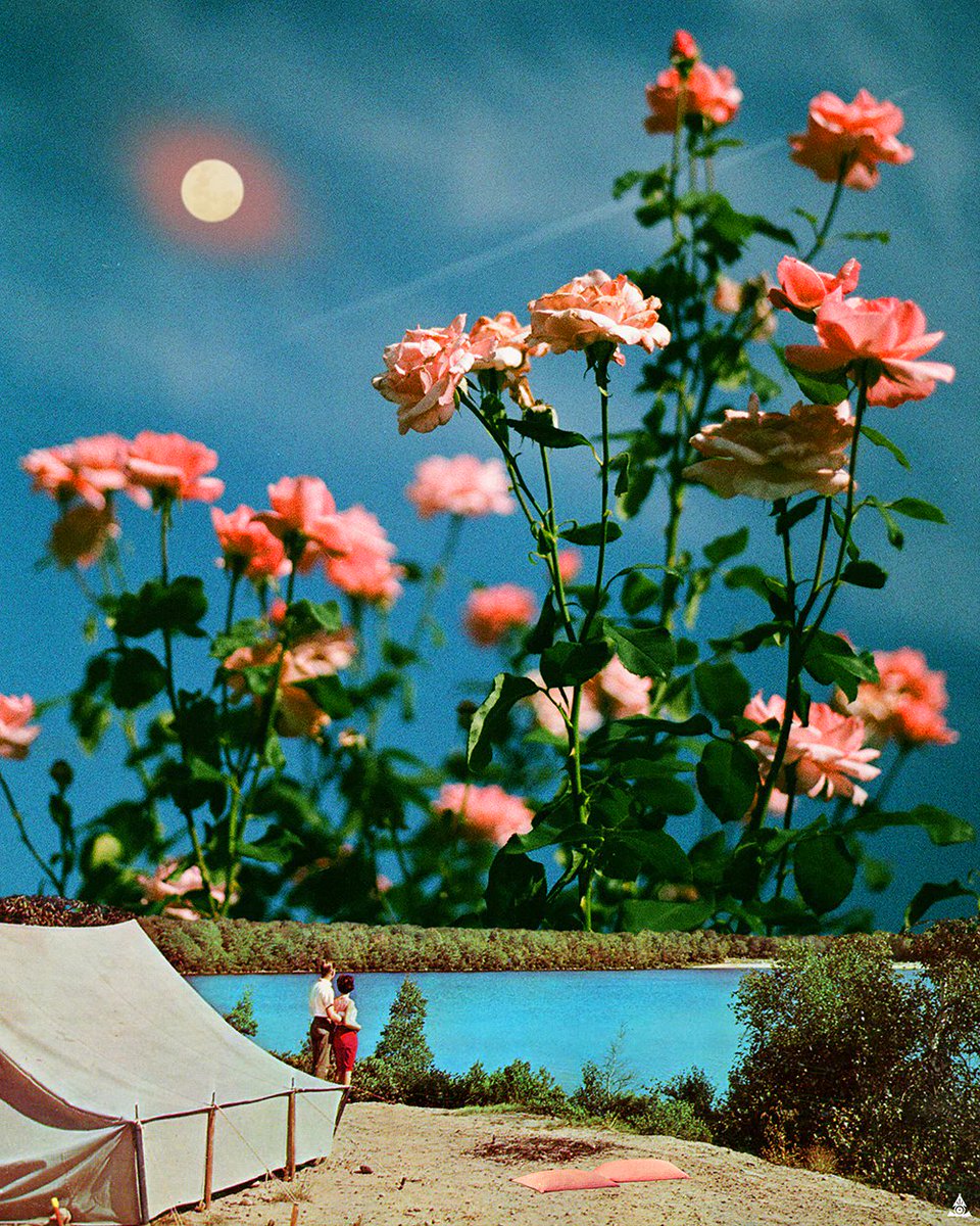 I feel retrograde is giving way to abundance ✨✨✨
Happy weekend all ❤️