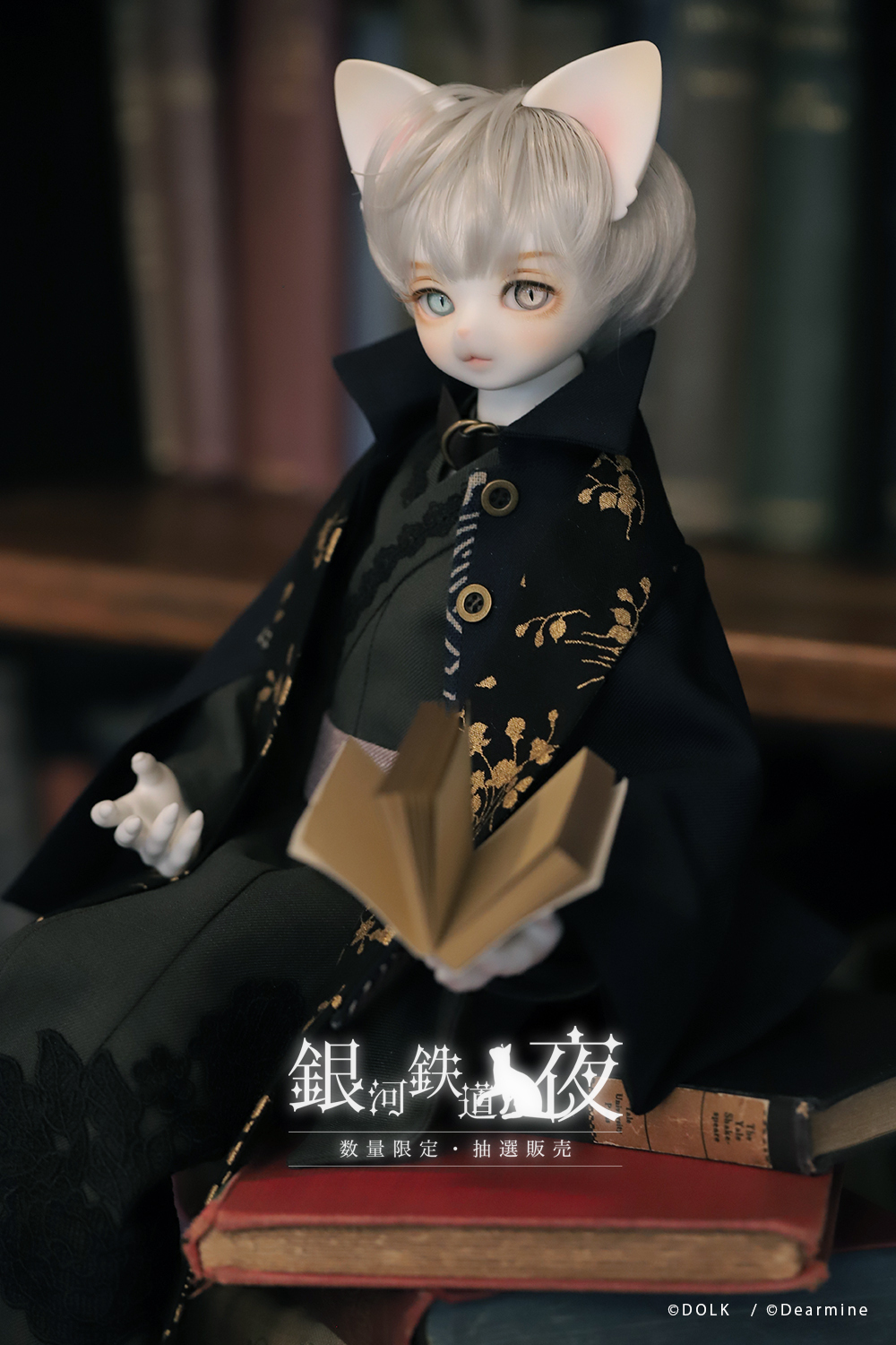 DOLK в X: „【DOLK×DEAR MINE】📚40体限定📖 麗しの猫ドール