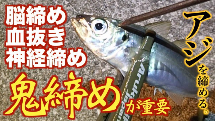 栗原 隆 釣りキチ隆 Youtube更新 釣り場での魚 アジの締め方 脳締め 血抜き 神経締め 鬼締め Horse Mackerel Ikejime T Co Vx45vuazlj 先日アジ爆釣の動画アップしましたけど その時のアジです 釣り アジ アジング Fishing