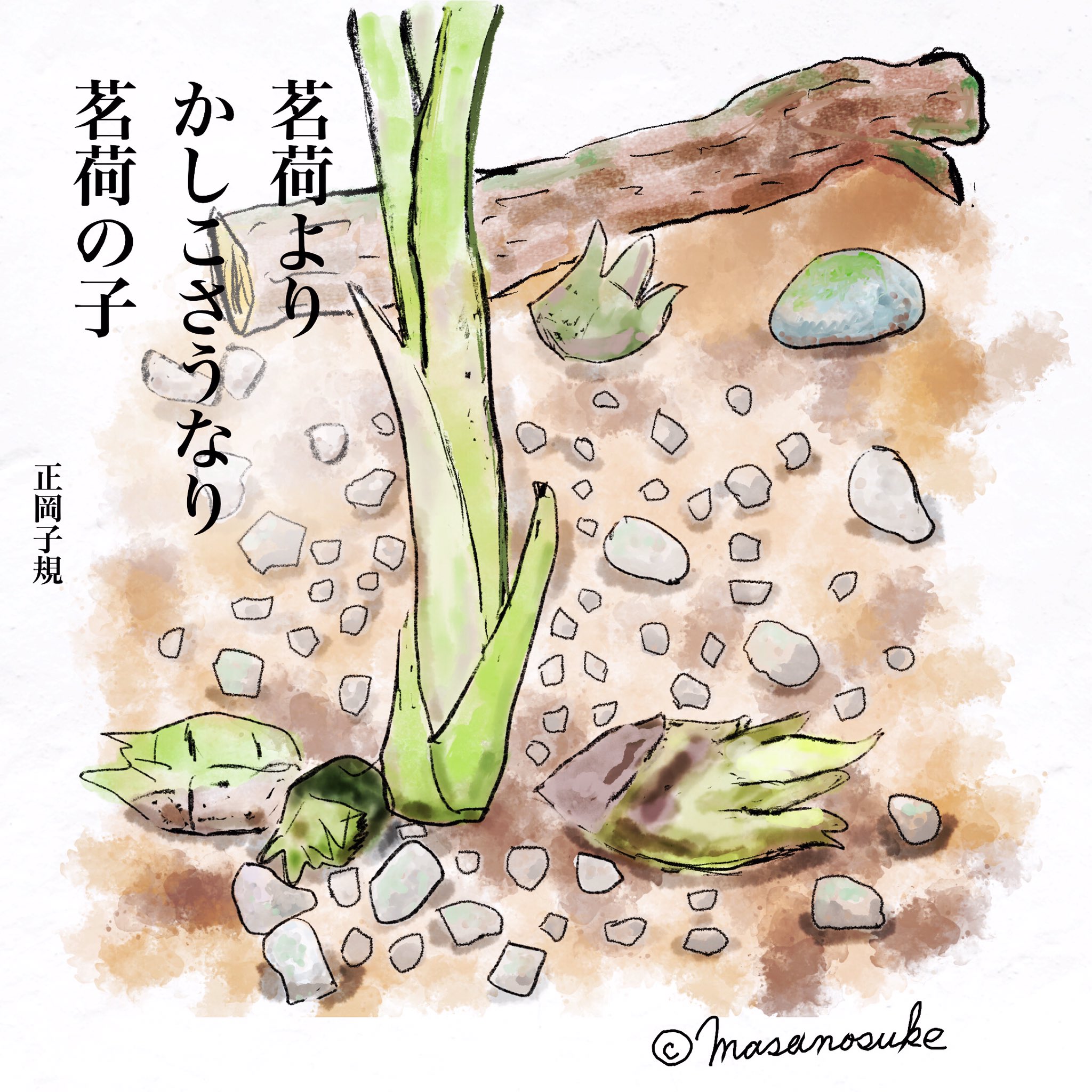 Himizoh Himizoh1 Twitter