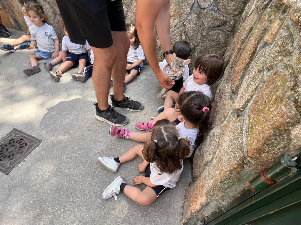 En el día de ayer, fueron nuestros/as de 2 años los que visitaron la granja de los cuentos.  

Hicieron muchos talleres y pudieron conocer e interactuar con los animales. ¡se lo pasaron genial!

Es un lujo verlos/as tan contentos/as.