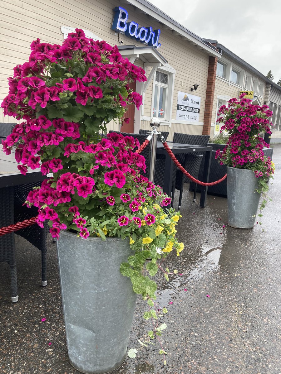 MotelKapyla's tweet photo. Piha kesäkuntoon -päivä 🥰🌻 #kesäkukat #kesä #terassi #ravintola #matkallapohjoiseen https://t.co/ESXRpeFl40